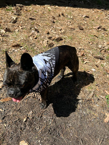 Laputa (Castle In the Sky) Studio Ghibli Bandana