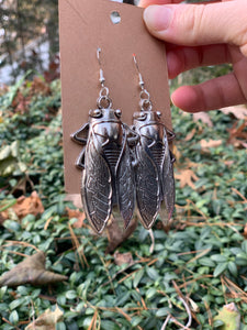 Cicada Earrings