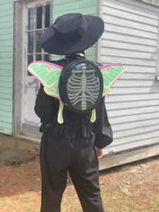 Additional Moth Wings